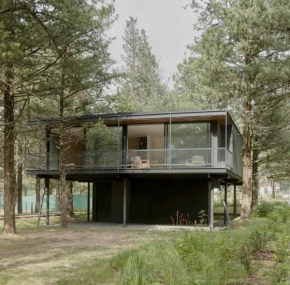 Casa entre pinos